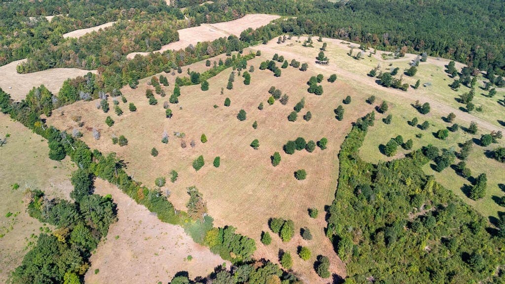 175.33 acres in Texas County - photo 32