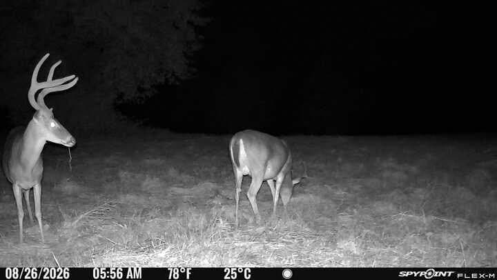 175.33 acres in Texas County - photo 138