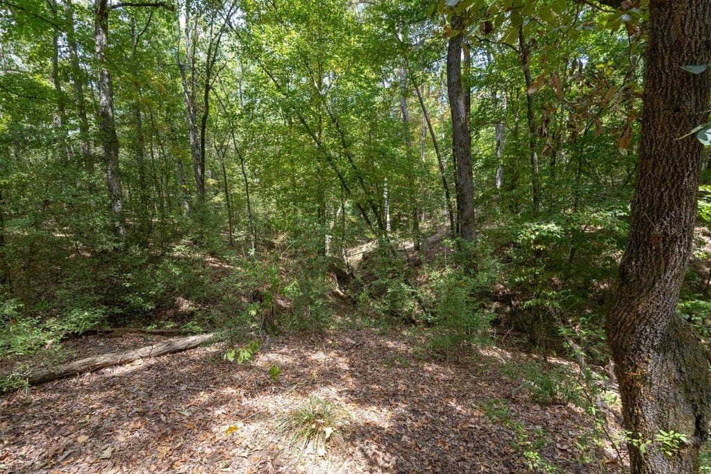 175.33 acres in Texas County - photo 126