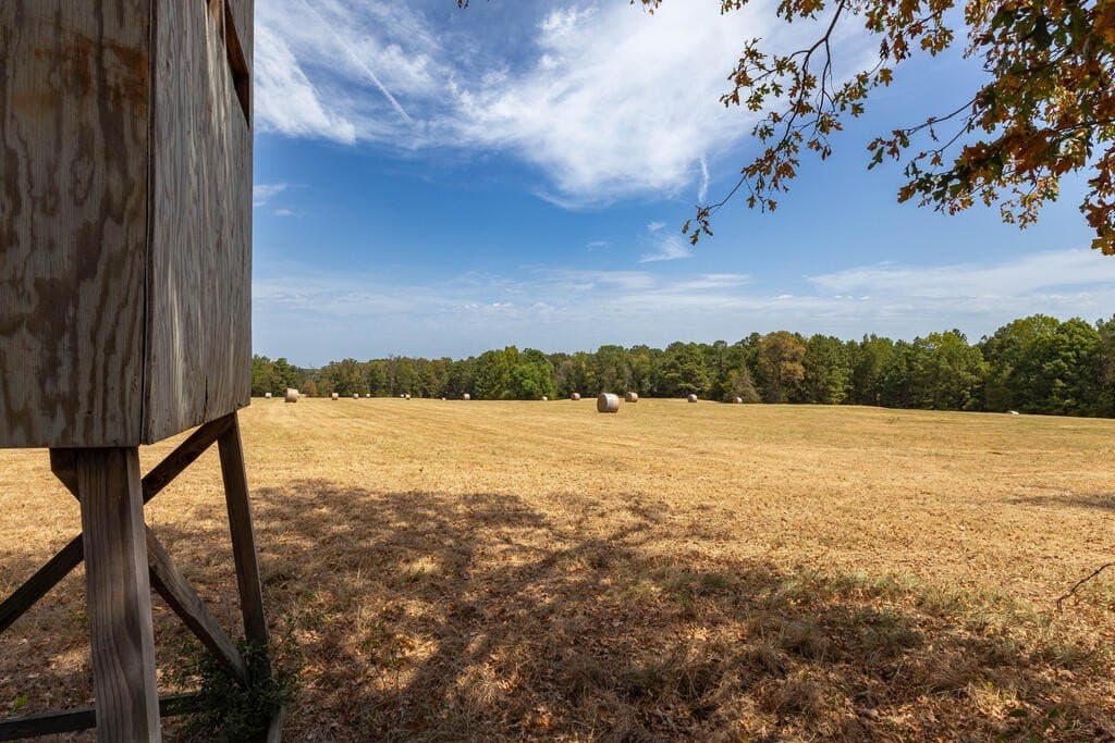 175.33 acres in Texas County - photo 104