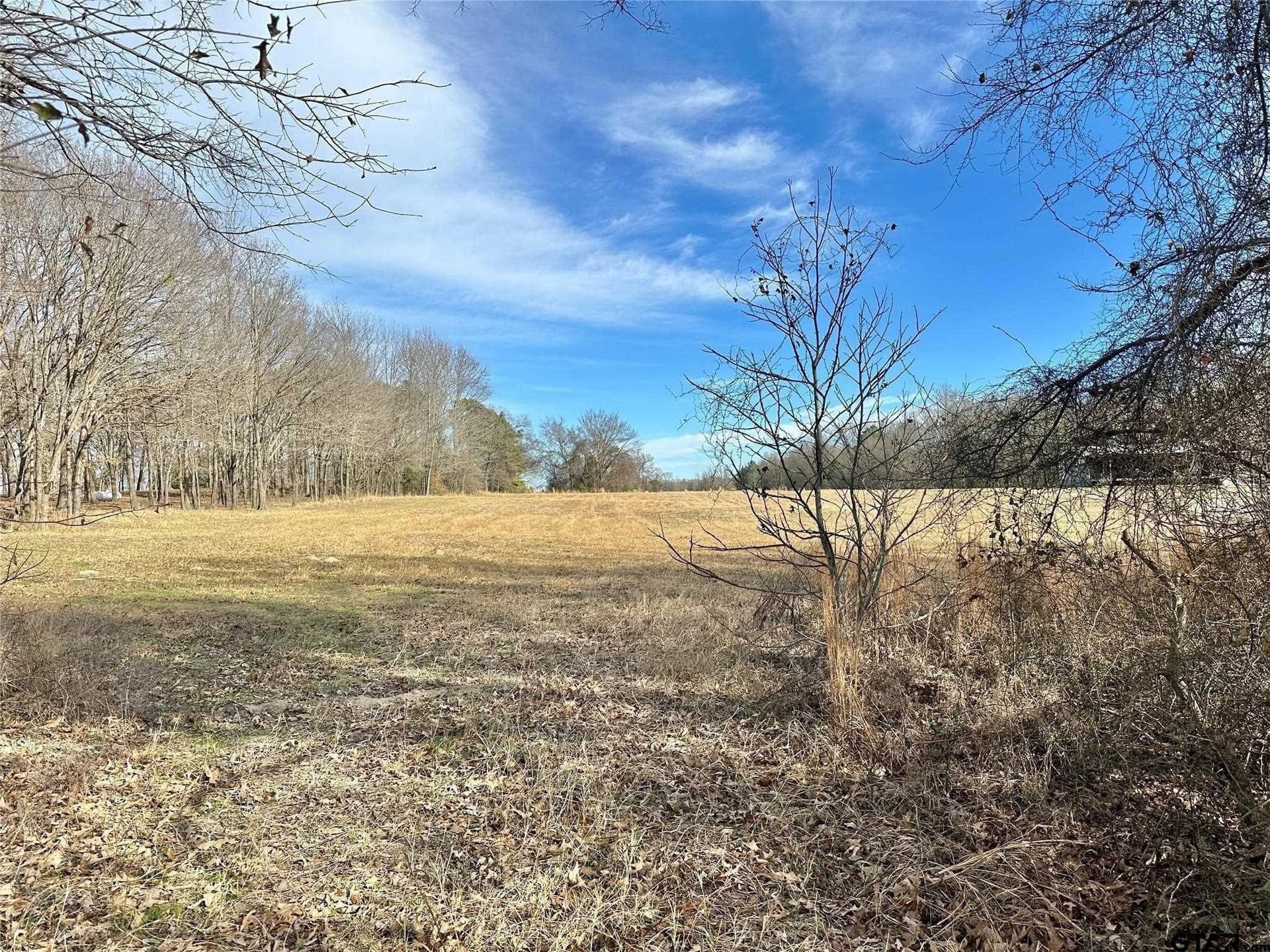 10.49 acres in Hopkins County - photo 10