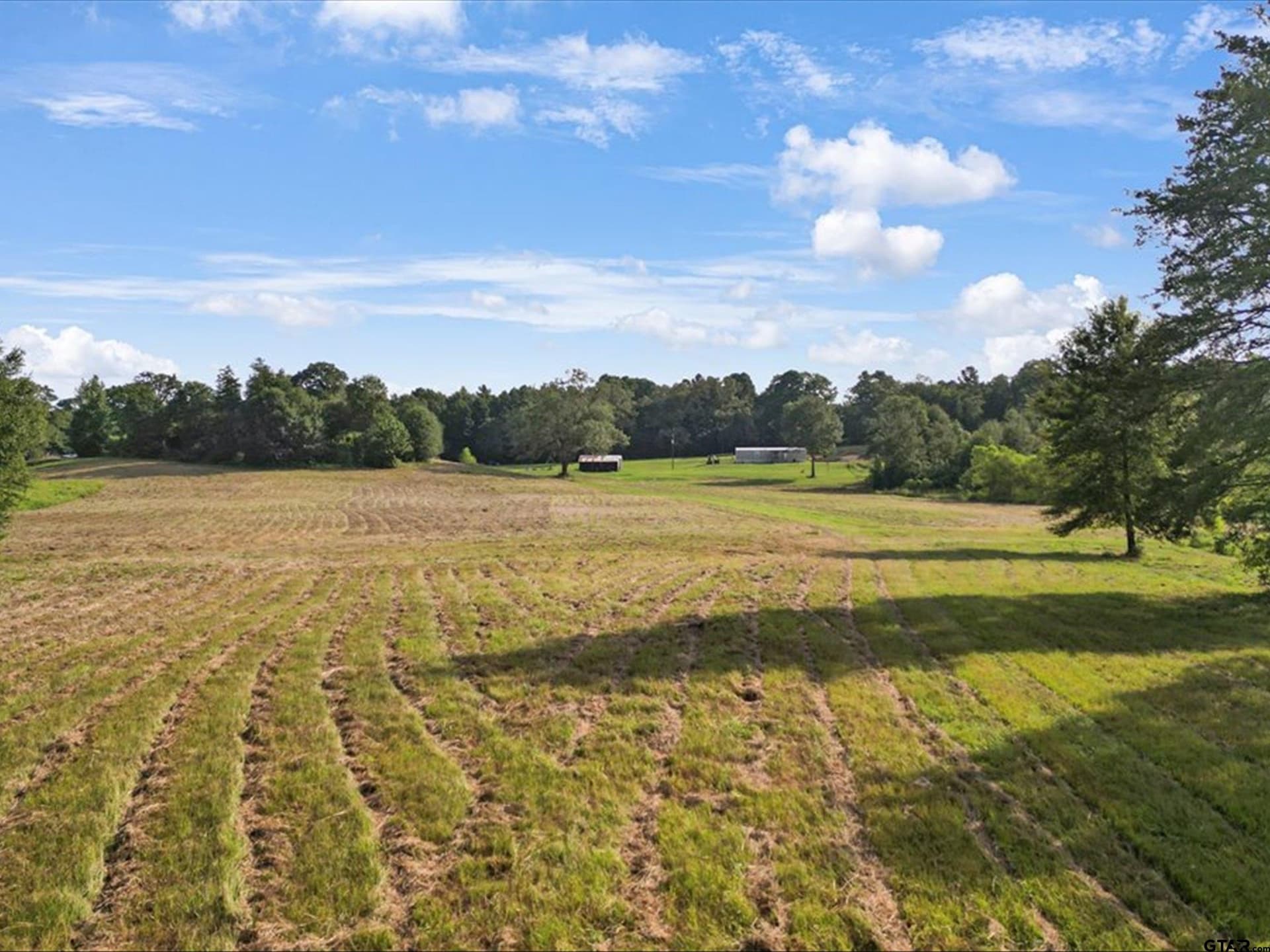 67 acres in Upshur County - photo 11