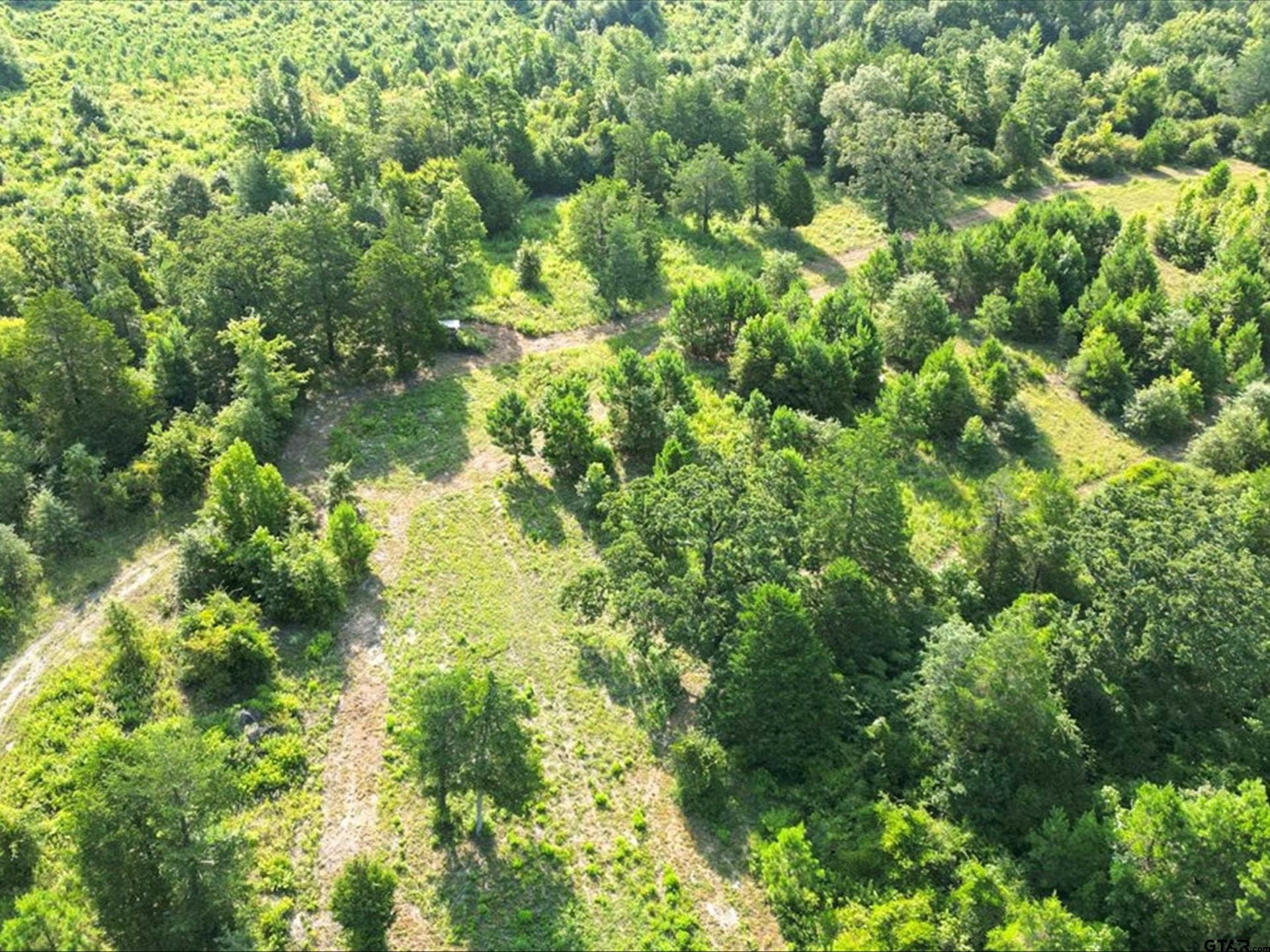 67 acres in Upshur County - photo 17