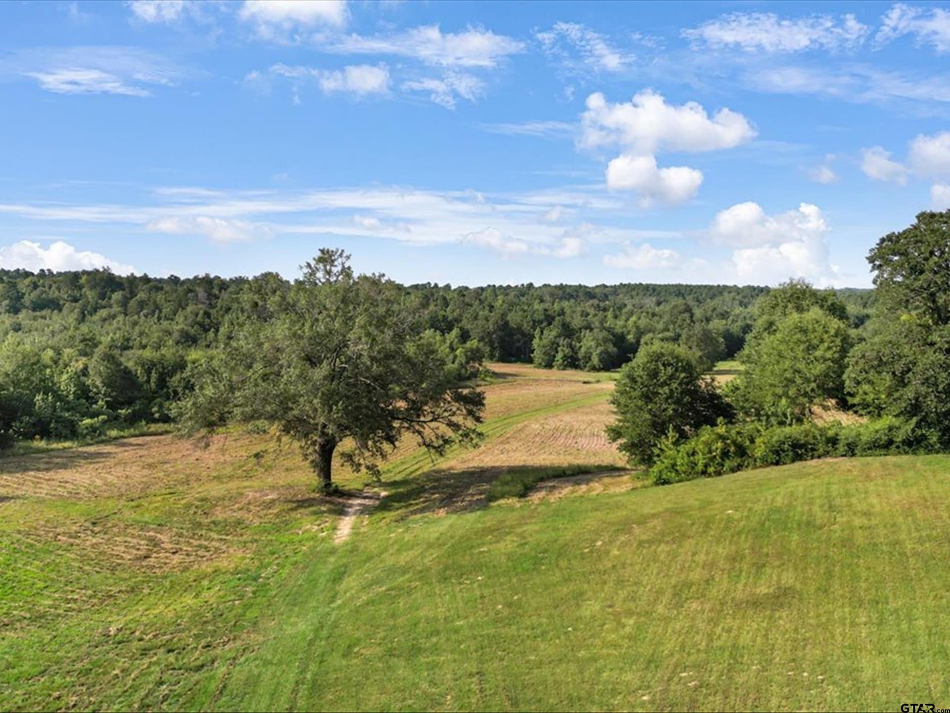 67 acres in Upshur County - photo 14