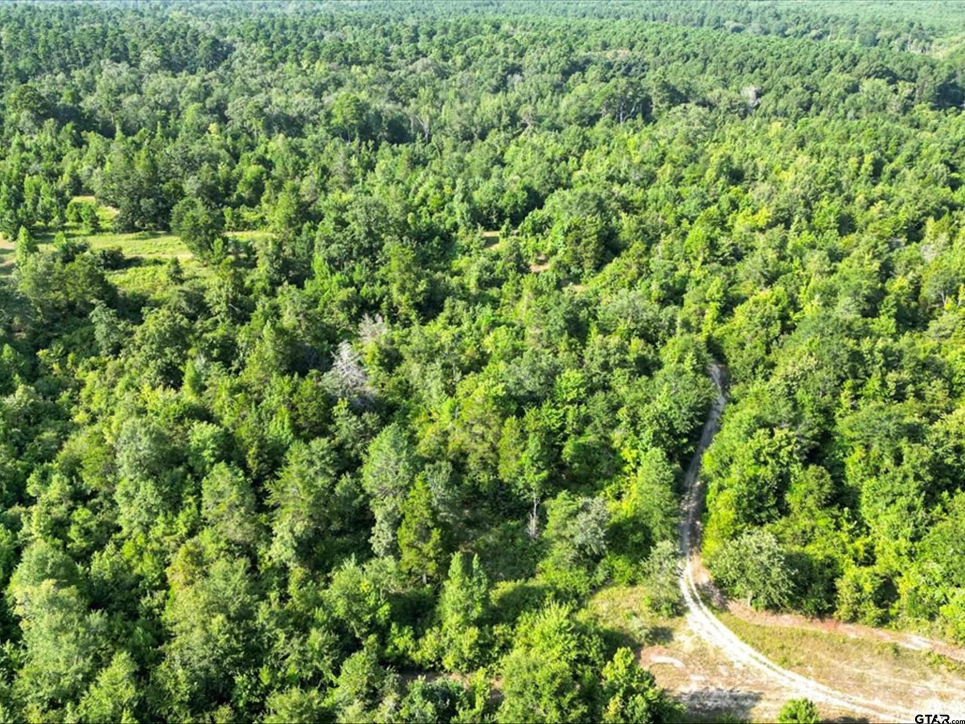 67 acres in Upshur County - photo 16