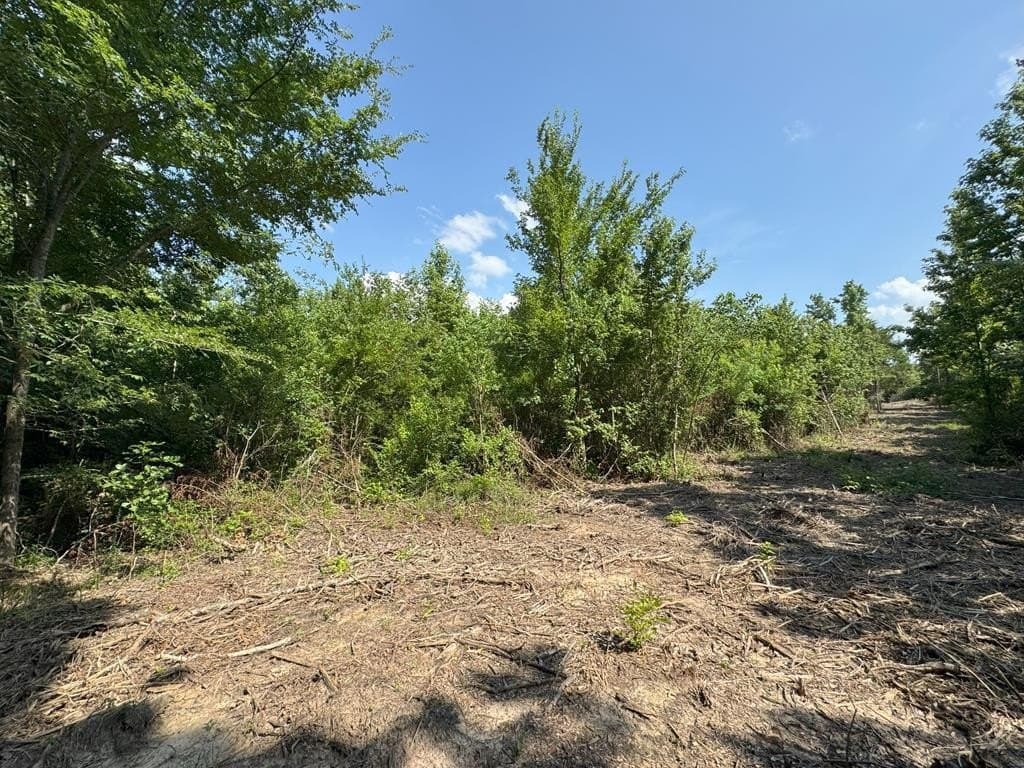 10 acres in Texas County - photo 2