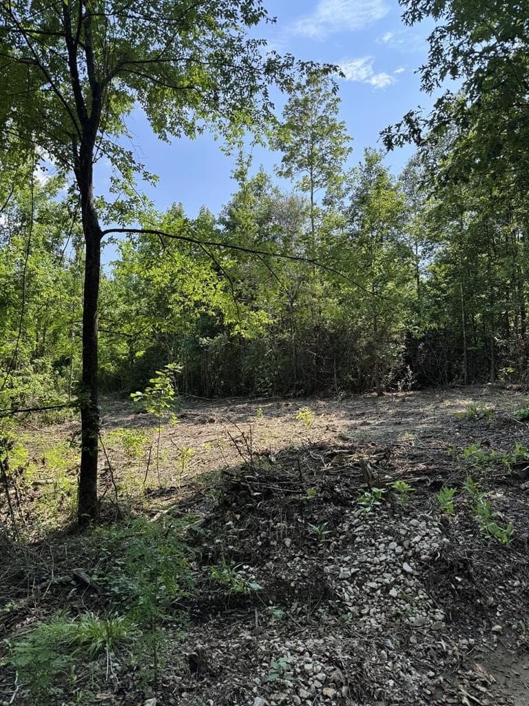 10 acres in Texas County - photo 3