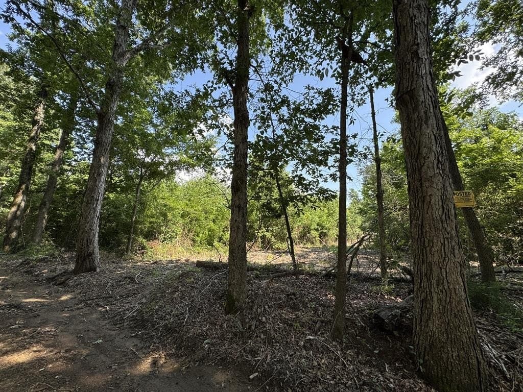 10 acres in Texas County - photo 6