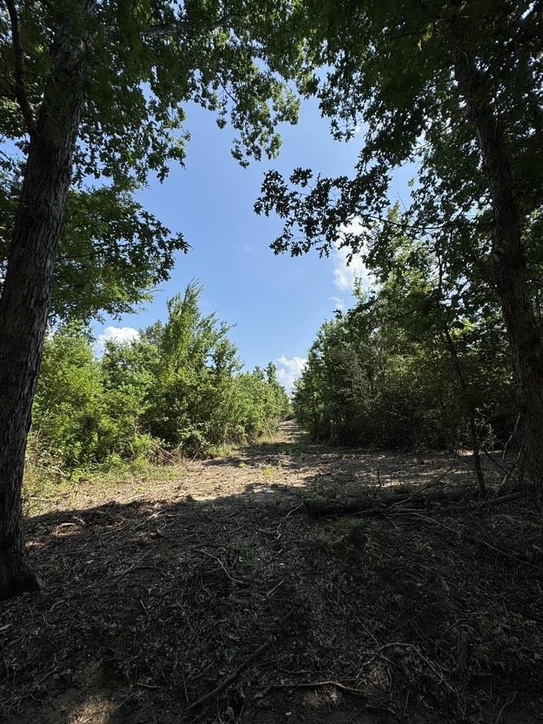 10 acres in Texas County - photo 4