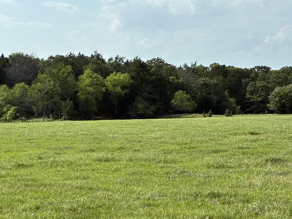 30.23 acres in Freestone County gallery image 2