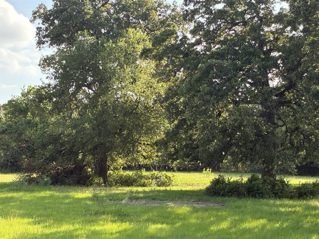 30.23 acres in Freestone County featured view