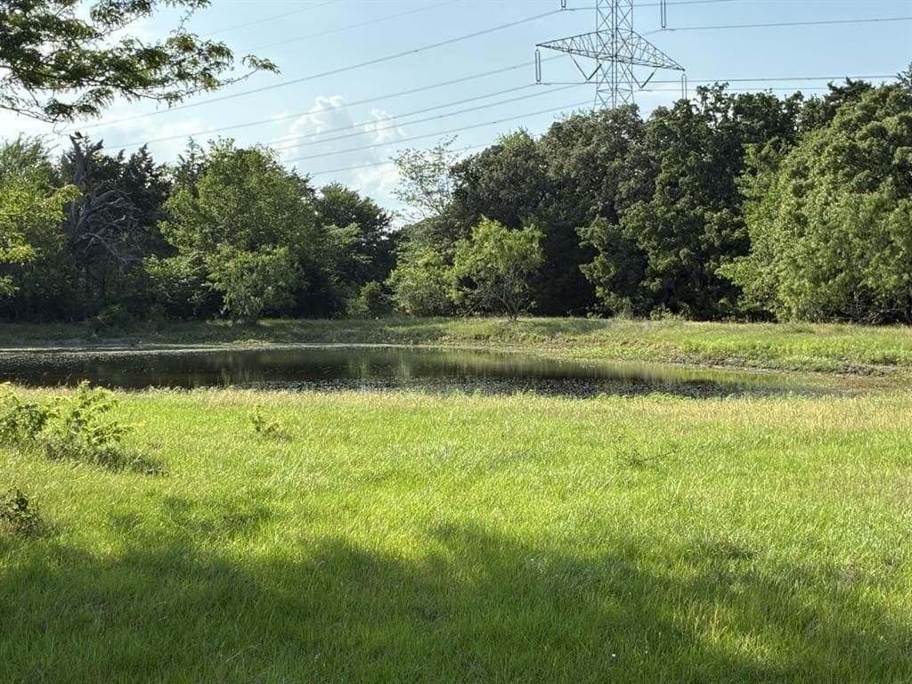30.23 acres in Freestone County gallery image 3