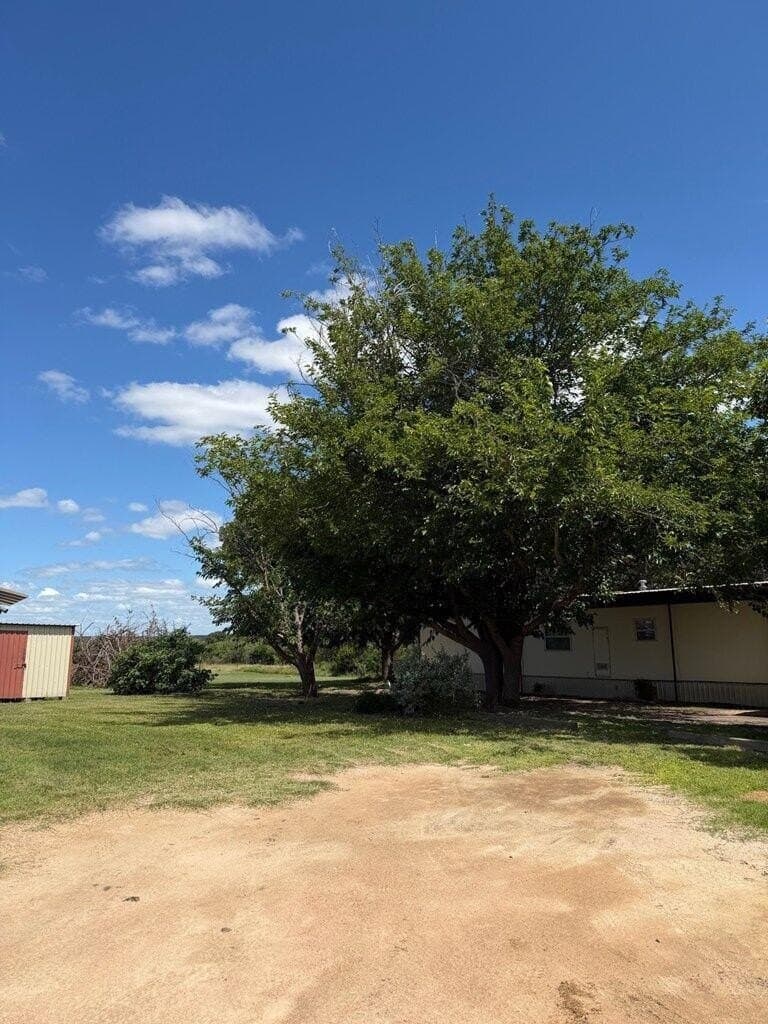 10 acres in Menard County - photo 9