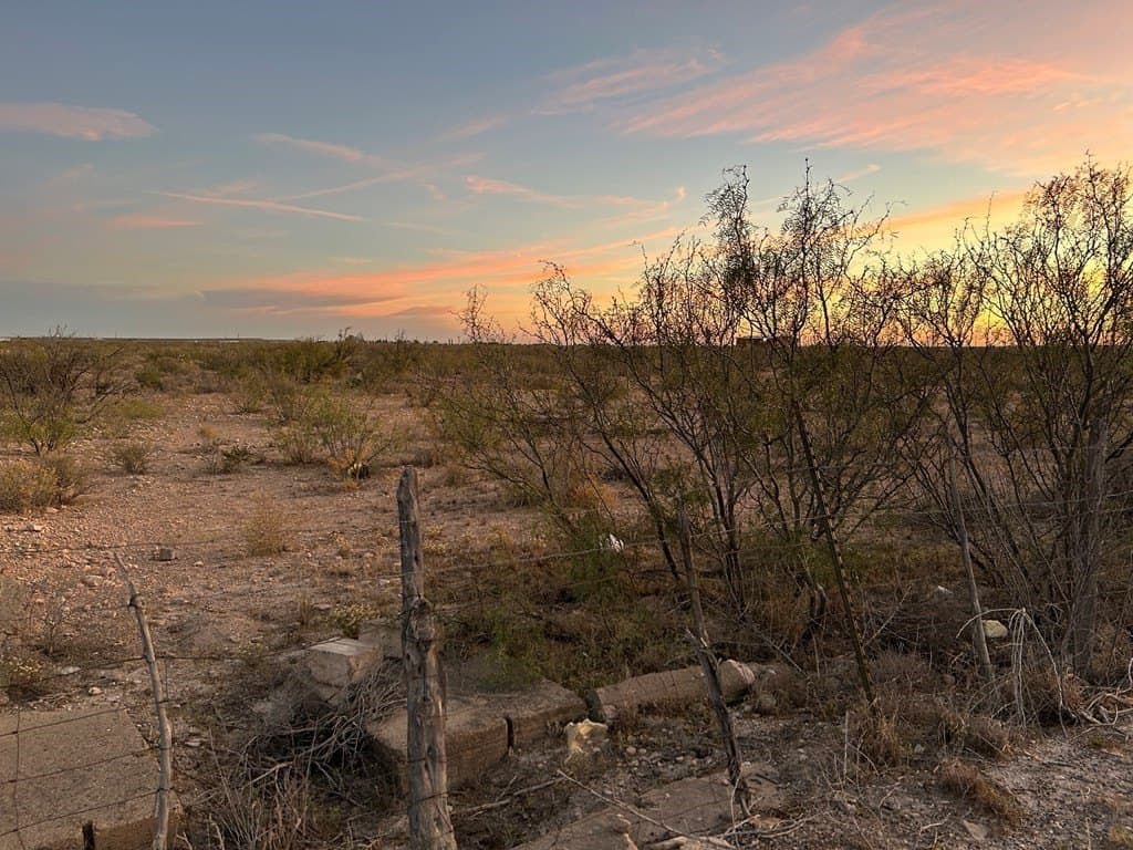 20 acres in Pecos County gallery image 3