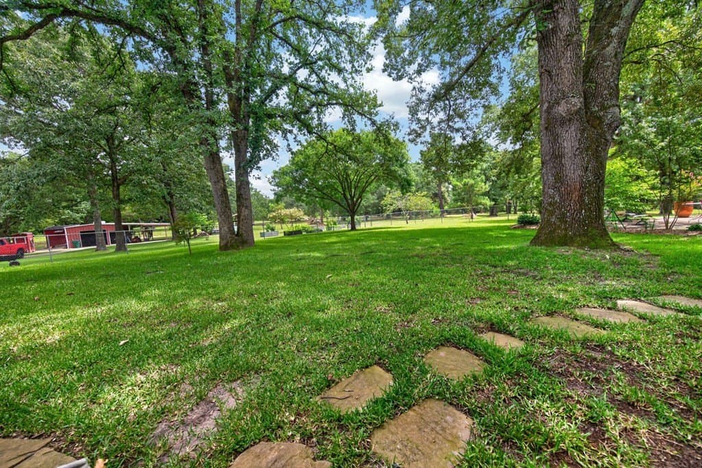 14.19 acres in Henderson County - photo 49