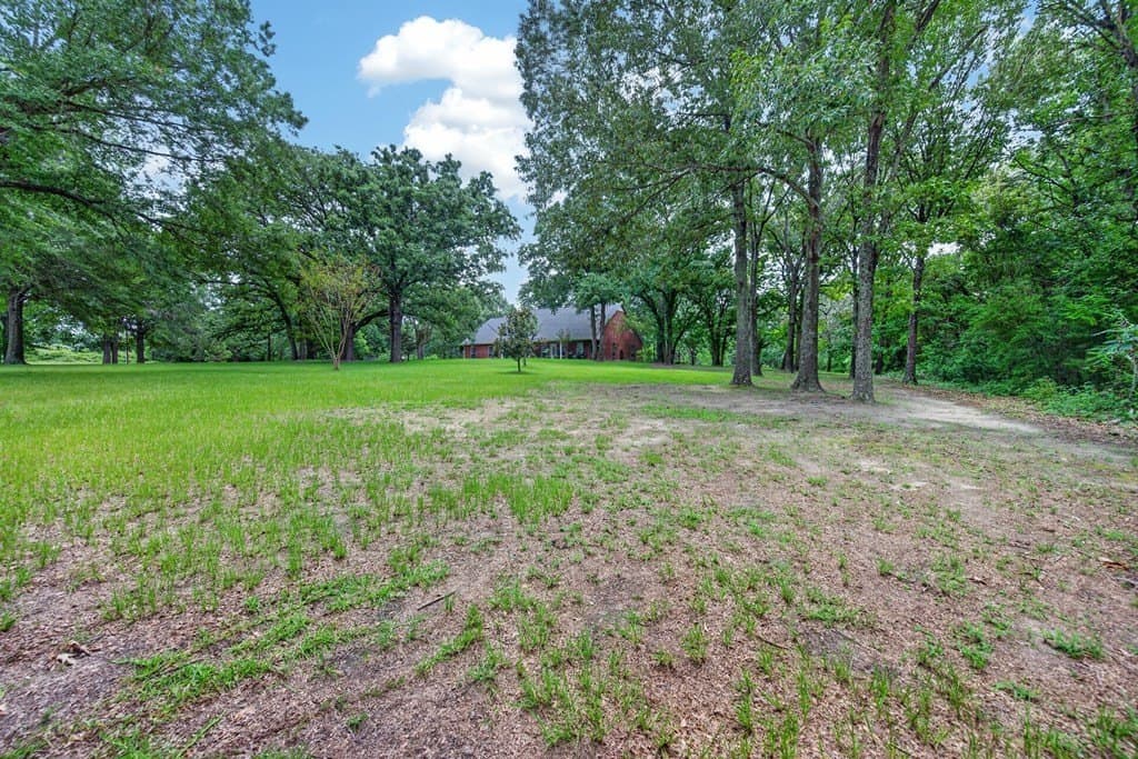 14.19 acres in Henderson County - photo 41