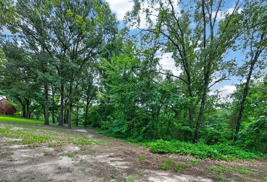 14.19 acres in Henderson County - photo 42