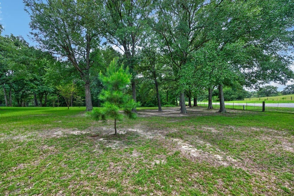 14.19 acres in Henderson County - photo 58