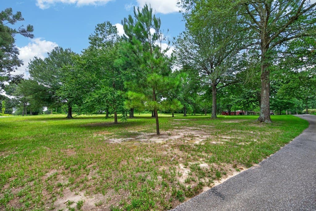 14.19 acres in Henderson County - photo 59