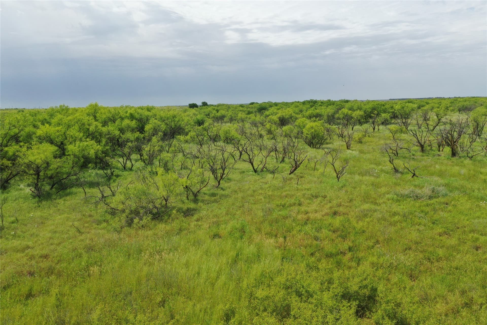 47.77 acres in Clay County - photo 3