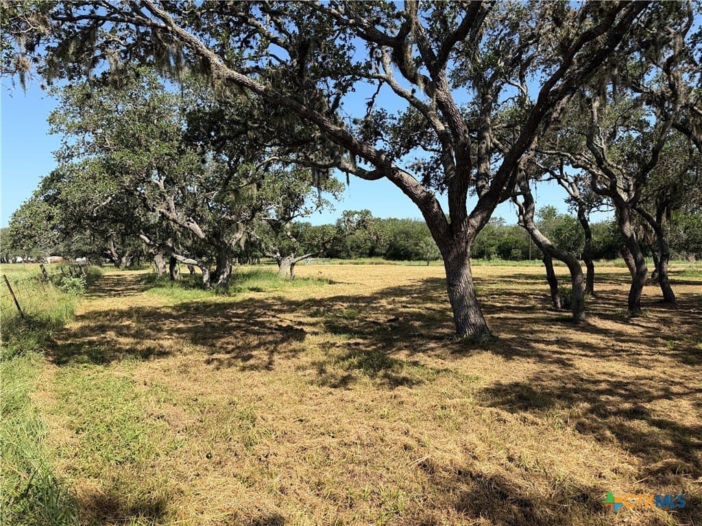 10.42 acres in Goliad County - photo 9