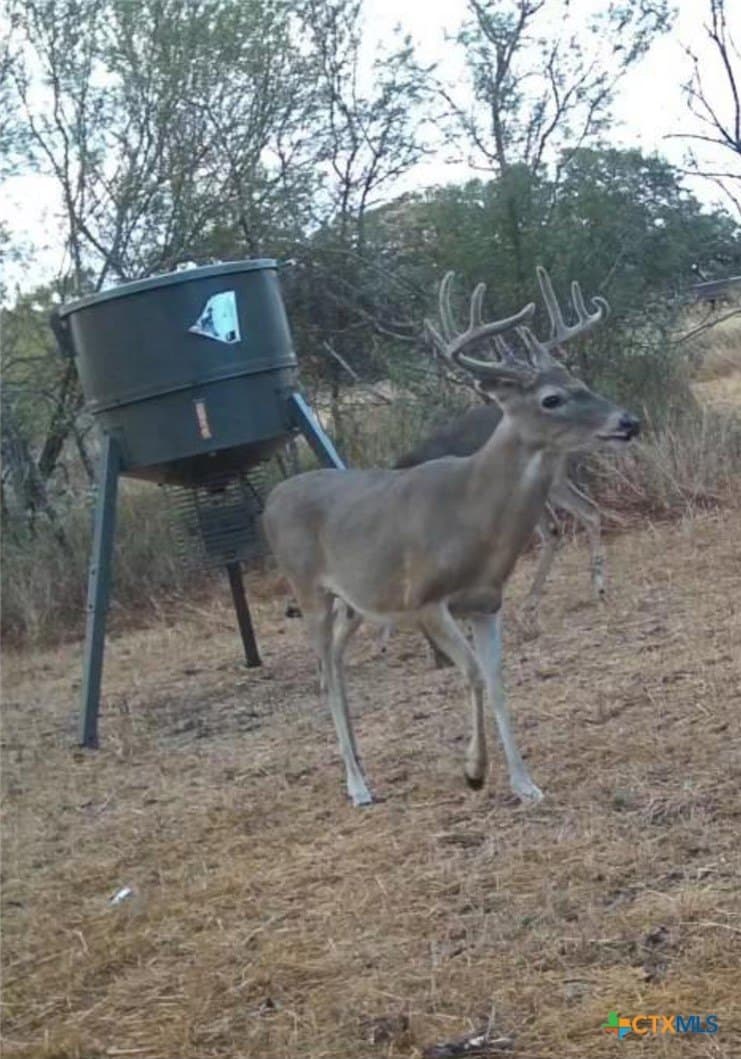 10.42 acres in Goliad County - photo 7