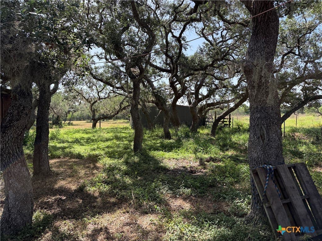 10.42 acres in Goliad County - photo 15