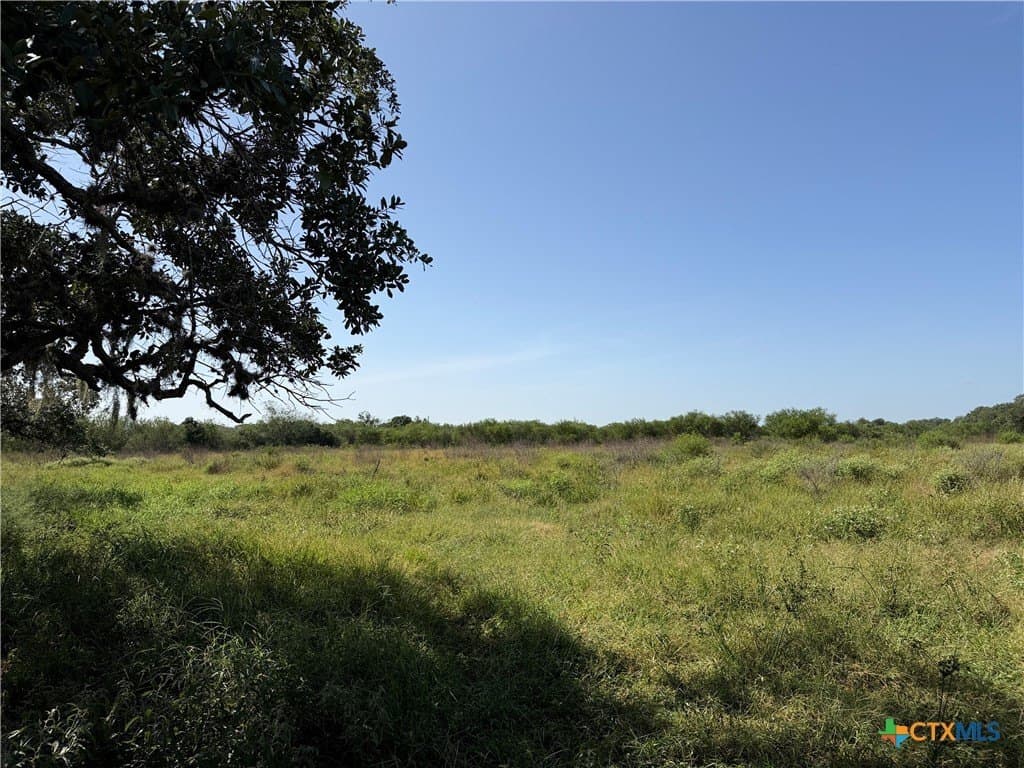 10.42 acres in Goliad County - photo 11