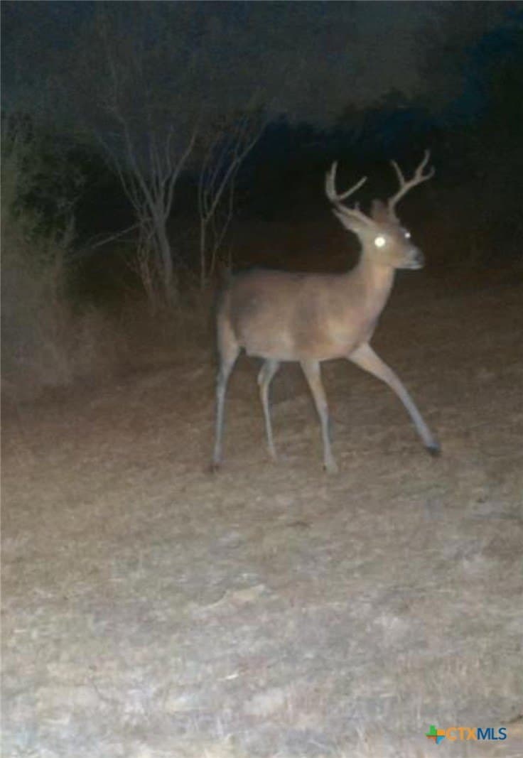 10.42 acres in Goliad County - photo 8
