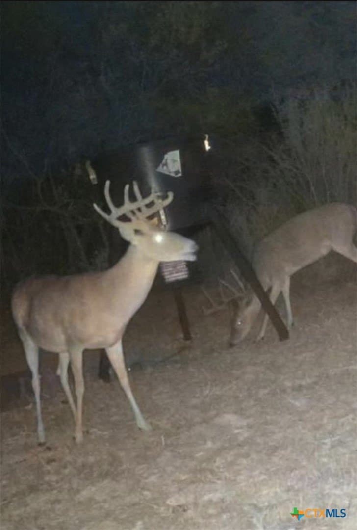 10.42 acres in Goliad County - photo 5