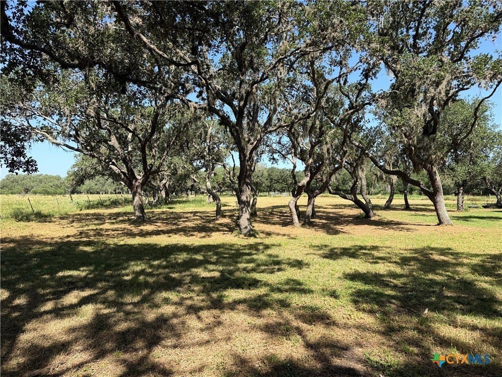 10.42 acres in Goliad County - photo 18