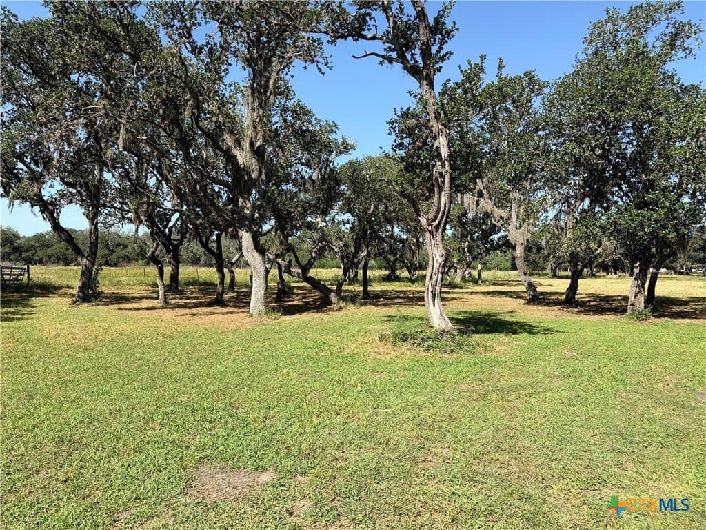 10.42 acres in Goliad County - photo 19