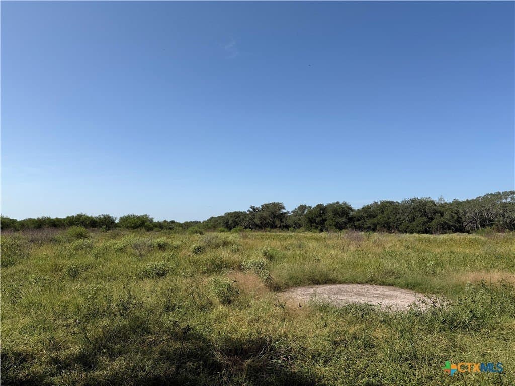 10.42 acres in Goliad County - photo 12