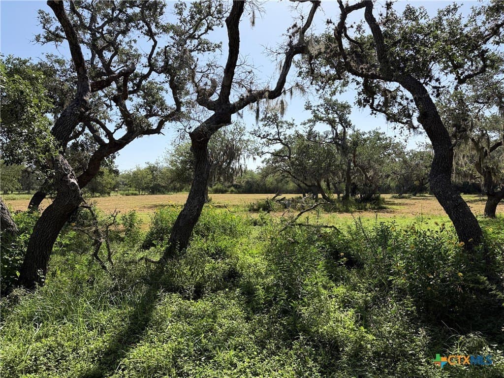 10.42 acres in Goliad County - photo 17