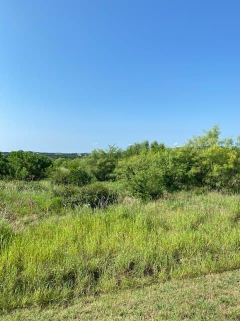 2.01 acres in Palo Pinto County gallery image 3