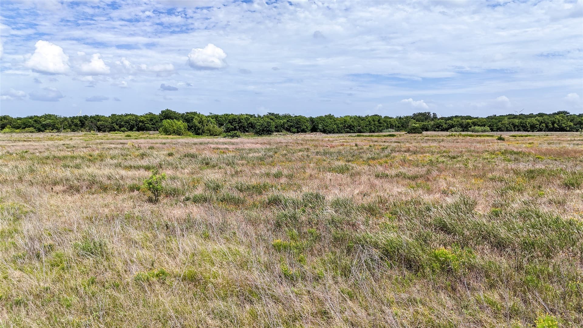 10 acres in Hill County - photo 8