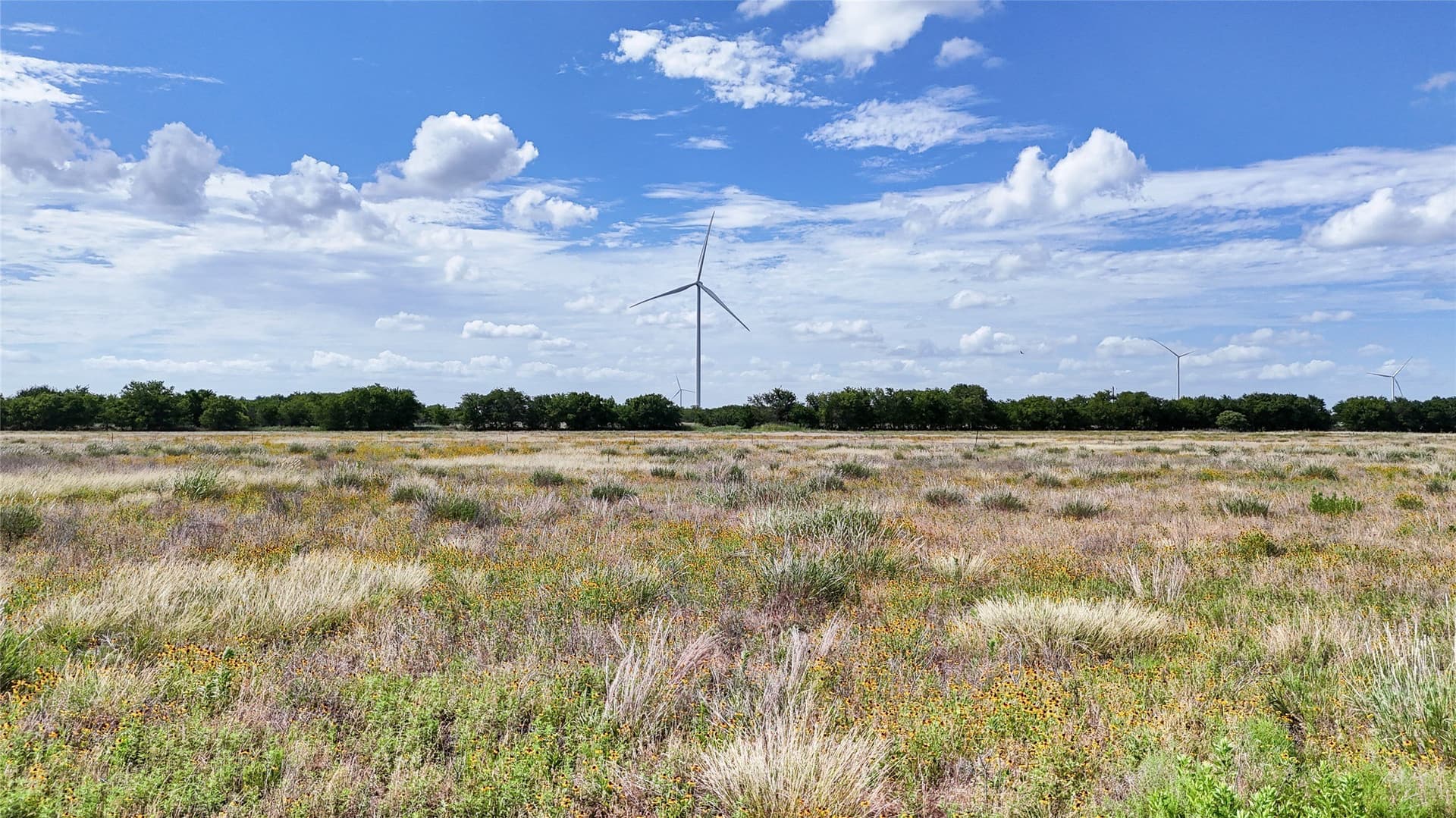 10 acres in Hill County - photo 17