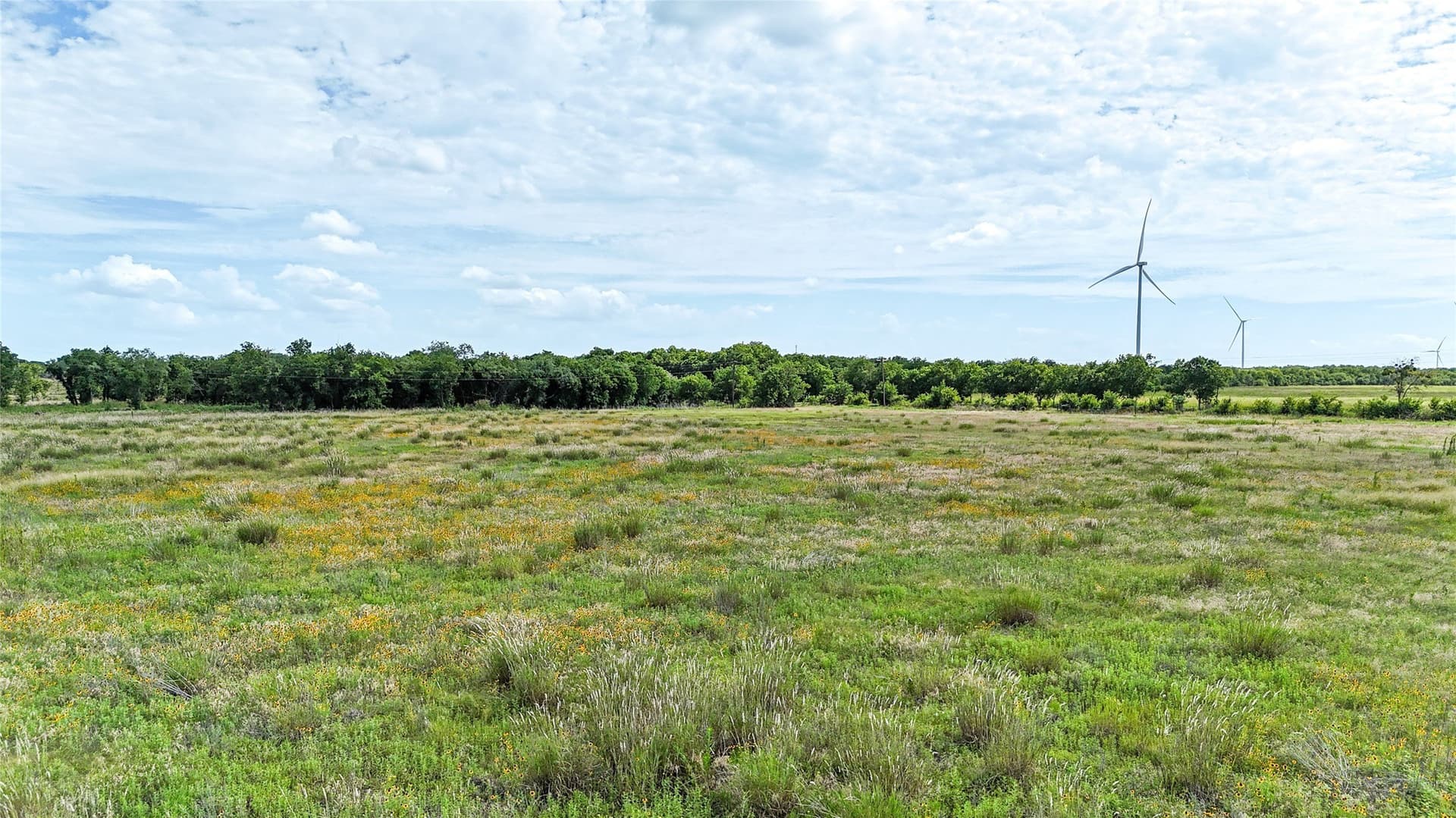 10 acres in Hill County - photo 13