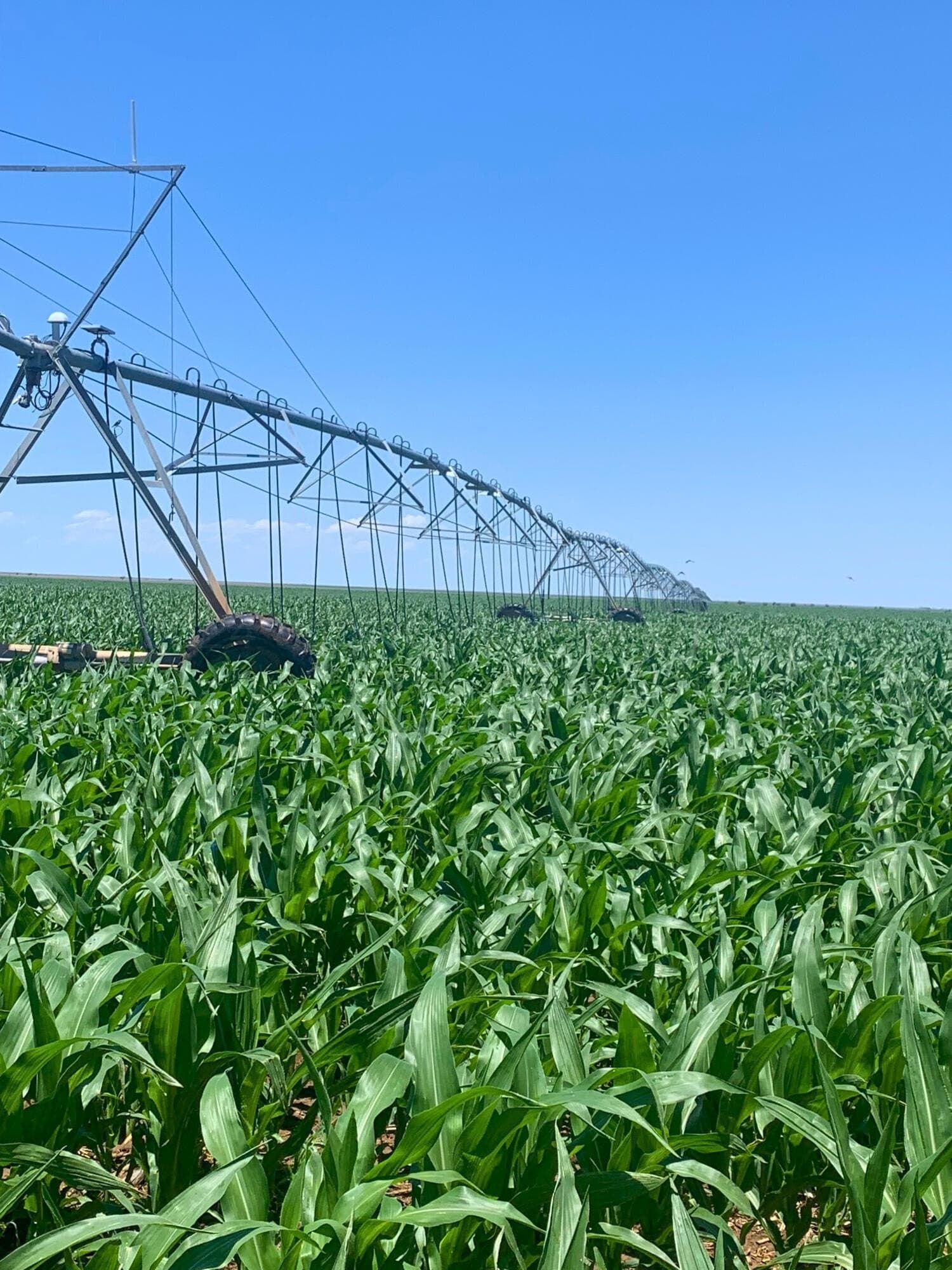 302 acres in Sherman County featured view