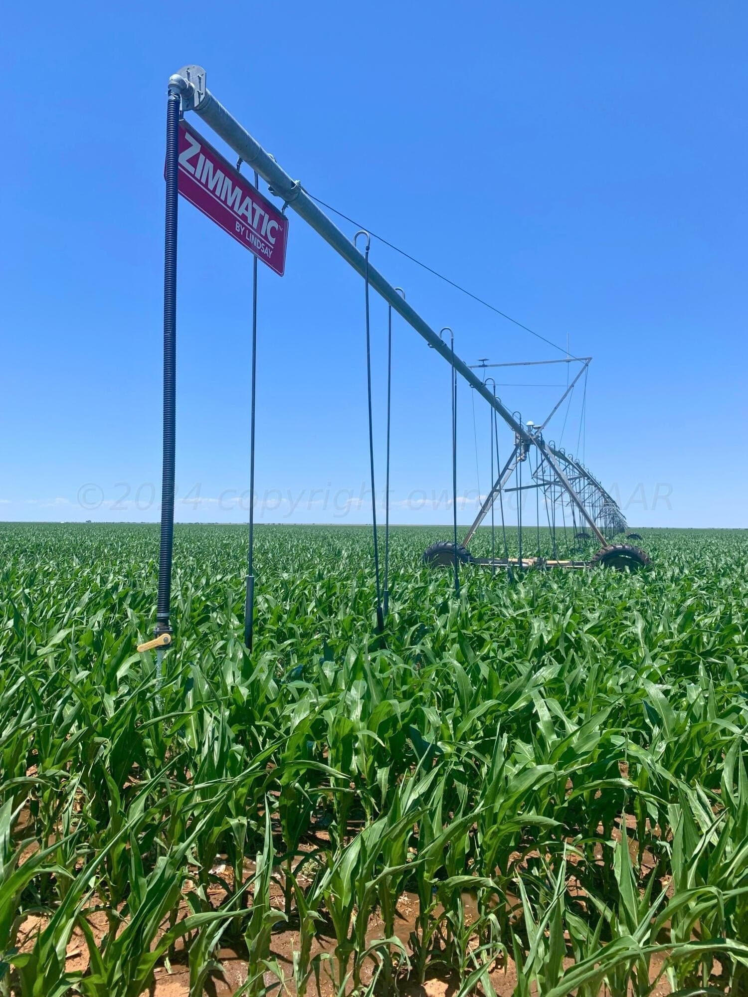 302 acres in Sherman County gallery image 3