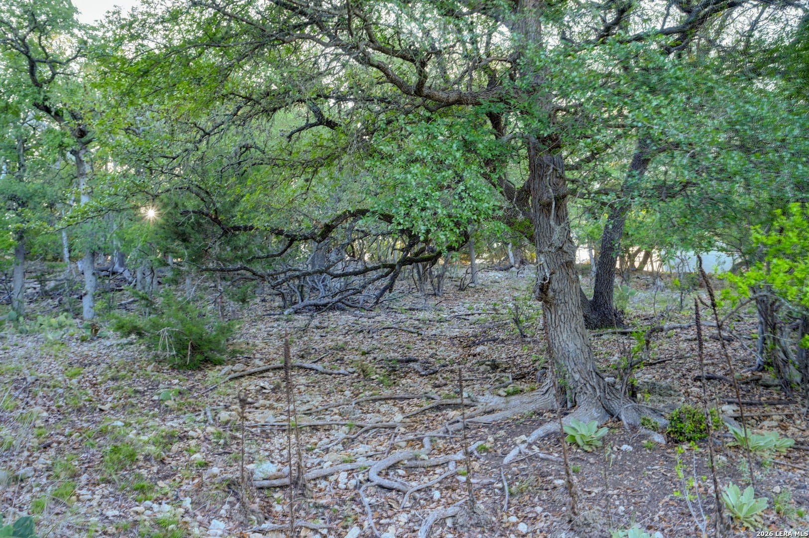 1.1 acres in Comal County - photo 43