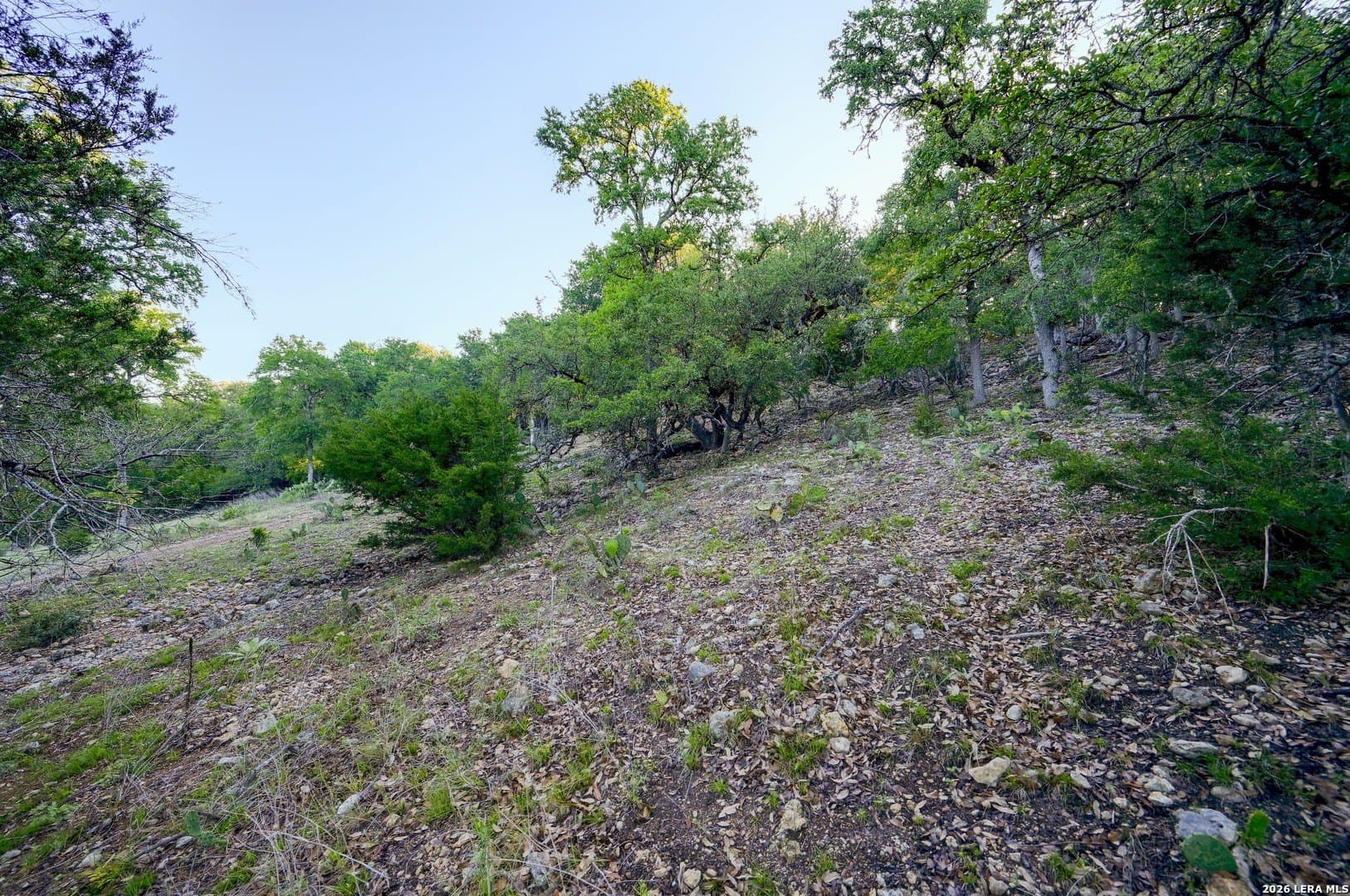 1.1 acres in Comal County - photo 30