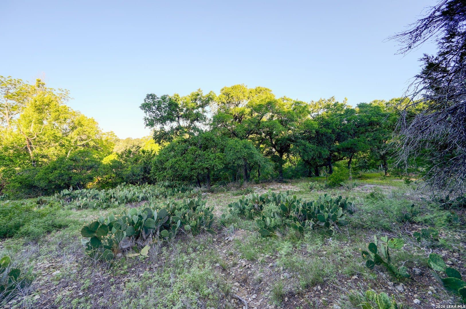 1.1 acres in Comal County - photo 33