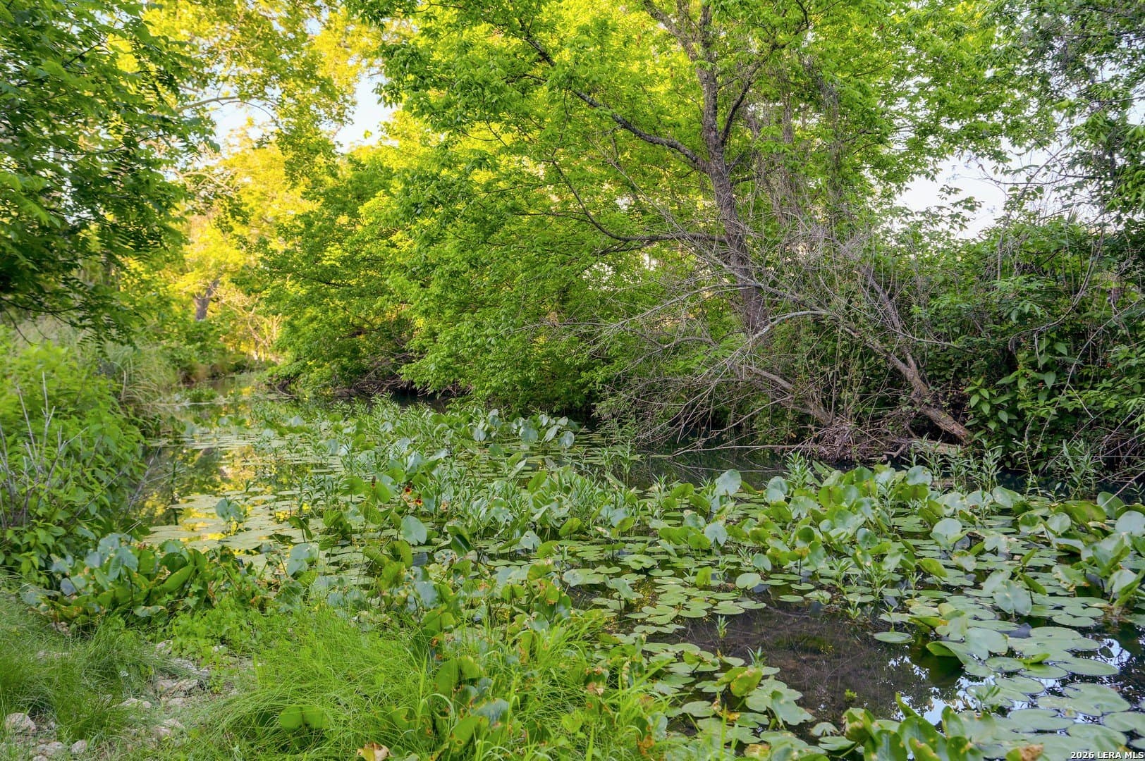 1.1 acres in Comal County gallery image 4