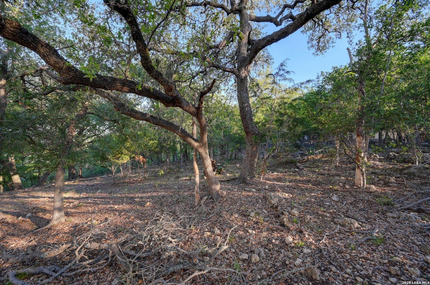 1.1 acres in Comal County - photo 29