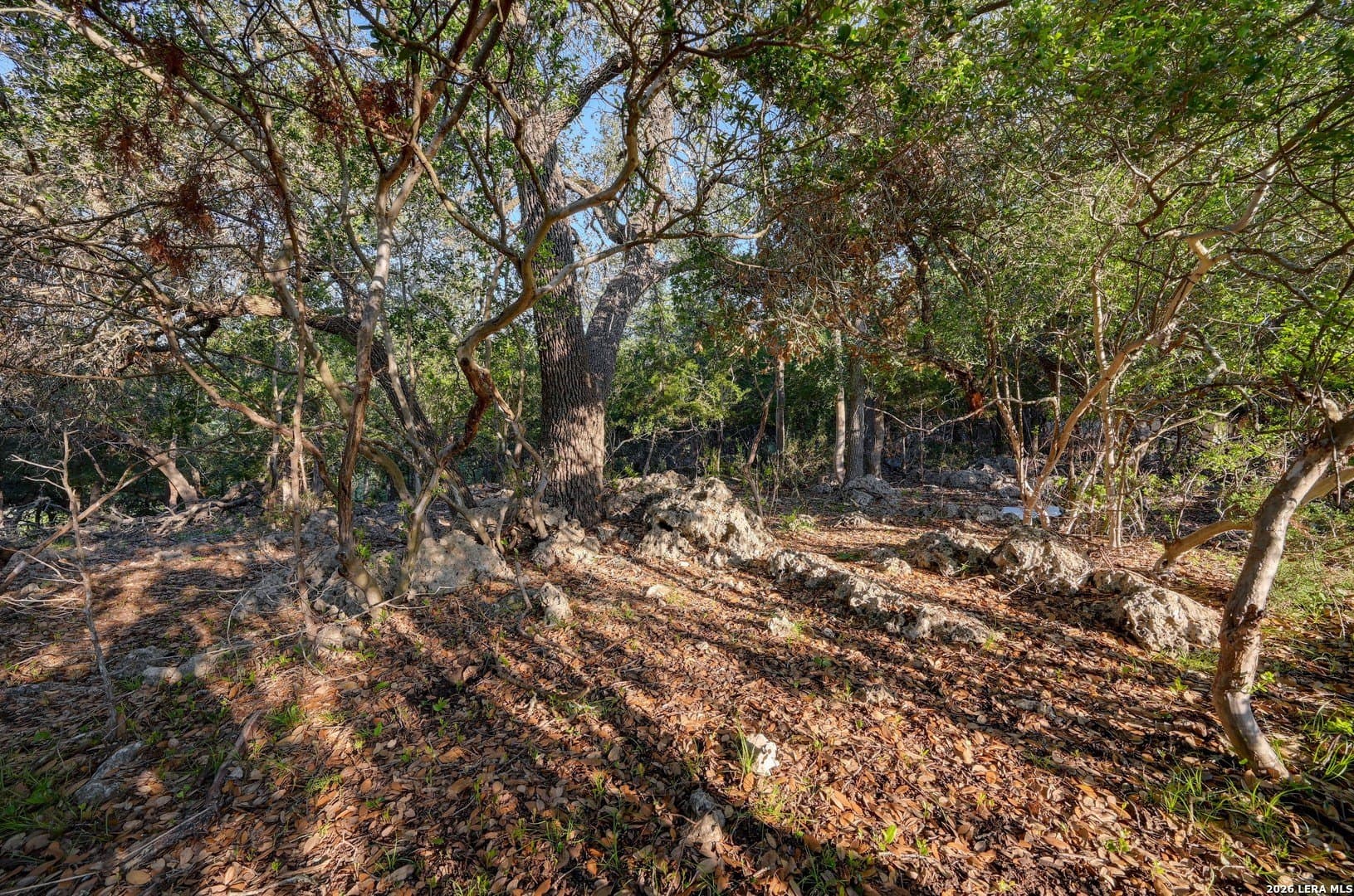 1.1 acres in Comal County - photo 9