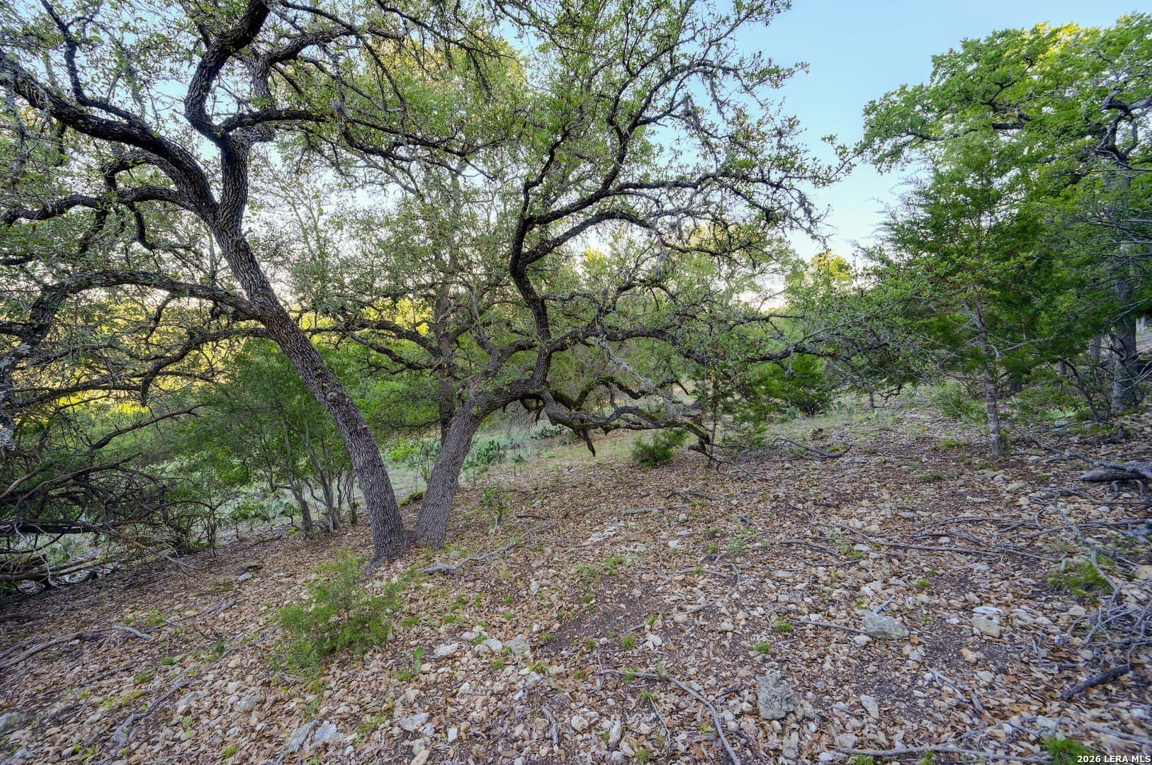 1.1 acres in Comal County - photo 10
