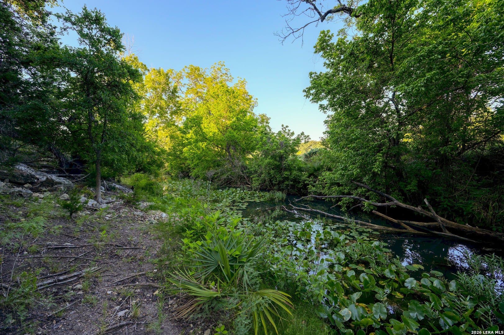 1.1 acres in Comal County - photo 40