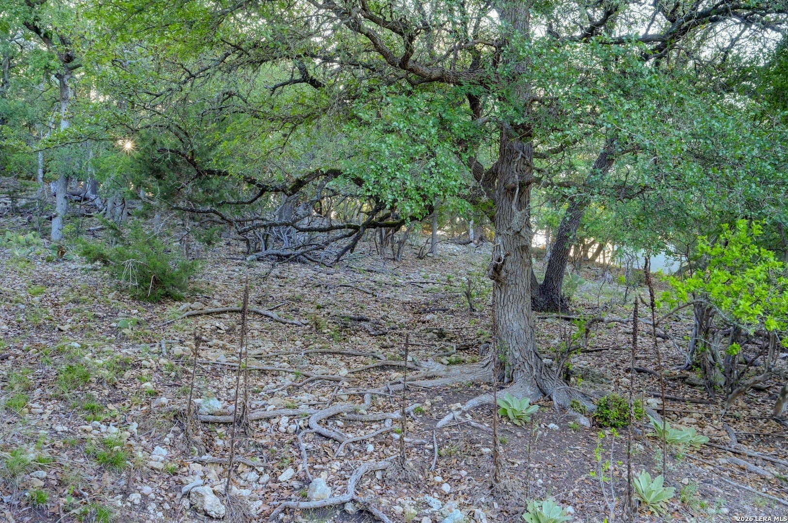 1.1 acres in Comal County - photo 44