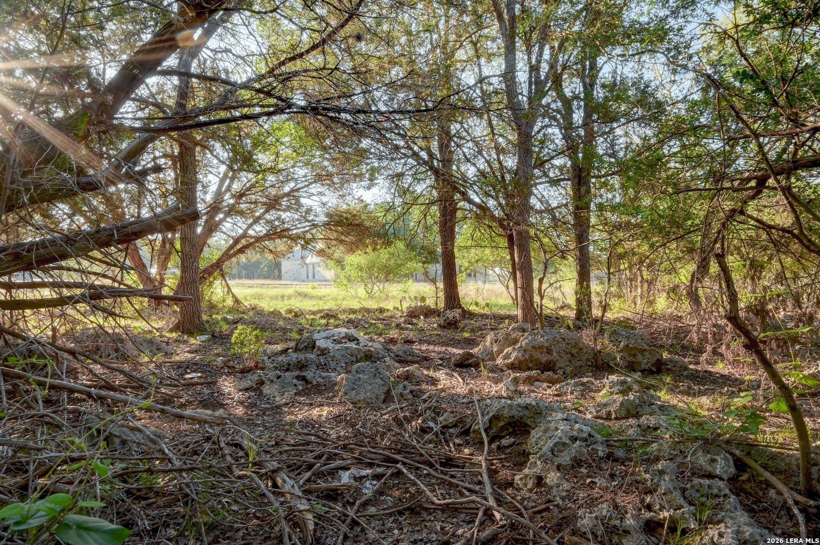 1.1 acres in Comal County gallery image 3